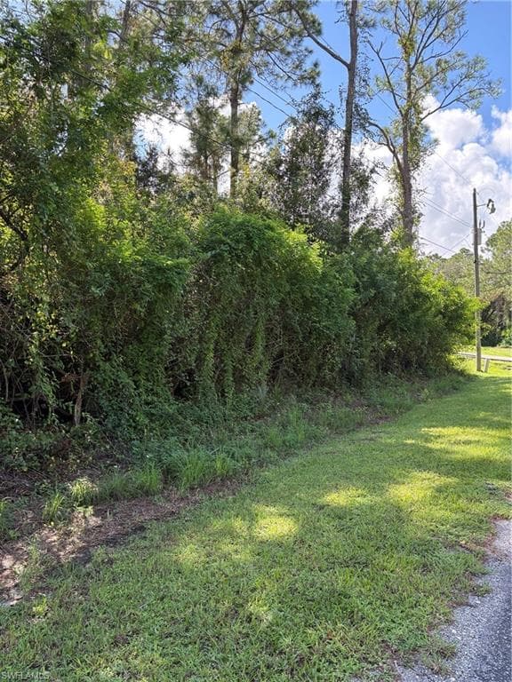 2010 Johns AVE ALVA, FL 33920