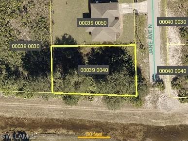 4625 Jane AVE N LEHIGH ACRES, FL 33971