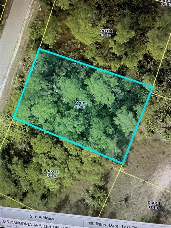 323 Mangonia AVE LEHIGH ACRES, FL 33974