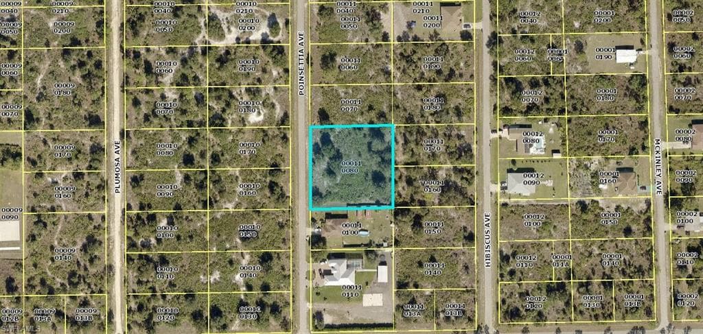 808 Poinsettia AVE LEHIGH ACRES, FL 33972