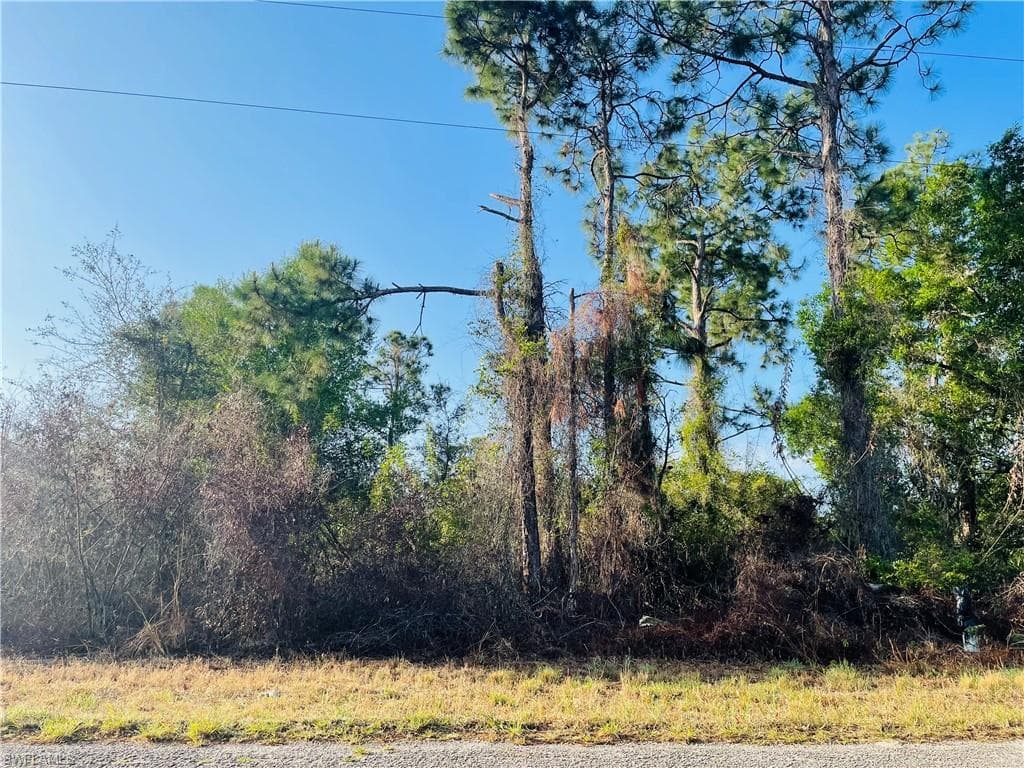 1256 Edgewood ST E LEHIGH ACRES, FL 33974