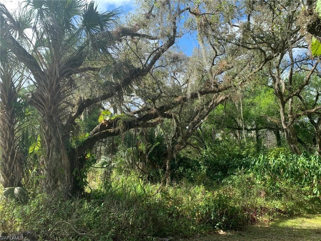 County Rd 78 LABELLE, FL 33935