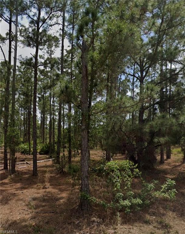 932 Maddock ST E LEHIGH ACRES, FL 33974