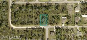 921 Franklin ST E LEHIGH ACRES, FL 33974