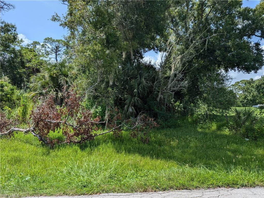 2998 Packinghouse RD ALVA, FL 33920