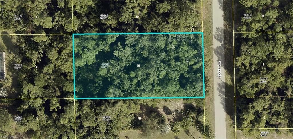 419 Grant AVE LEHIGH ACRES, FL 33972