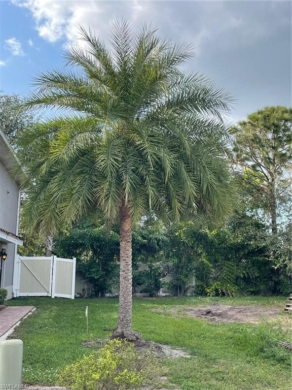 13118 Golden Palms CIR FORT MYERS, FL 33913