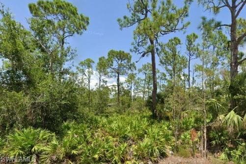 27164 Seeger DR PUNTA GORDA, FL 33955