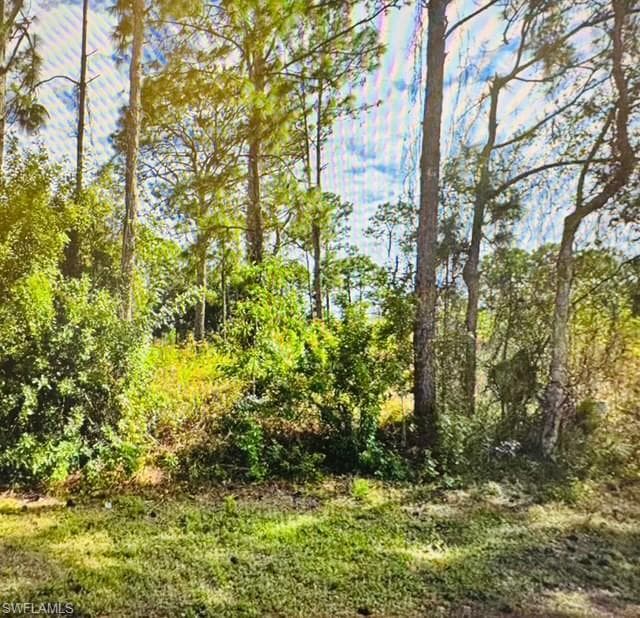 334 Mangonia AVE LEHIGH ACRES, FL 33974