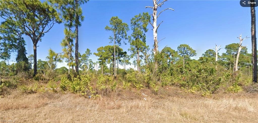1103 Garibaldi ST E LEHIGH ACRES, FL 33974
